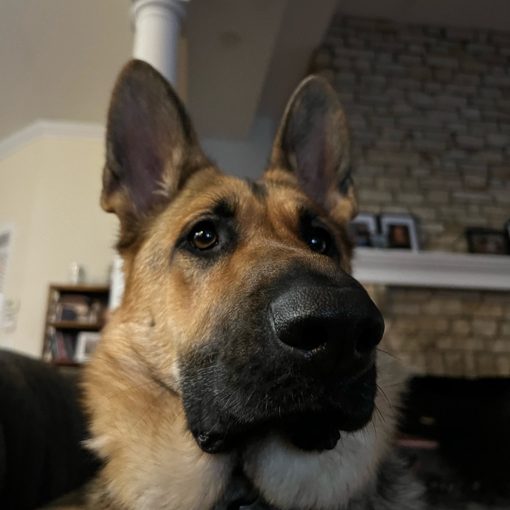 Meet your Posher, Brianna